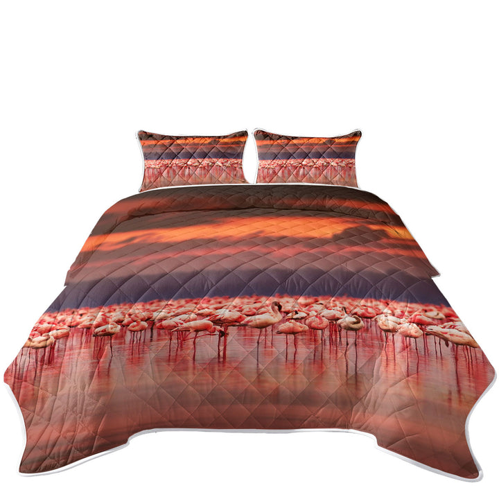 Flamboyance of Flamingo Beneath Sunset Sky California King Quilt Sets