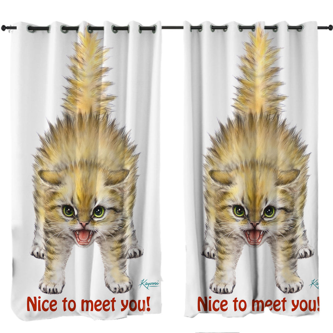 Funny Cats Aggressive Kitten Curtain