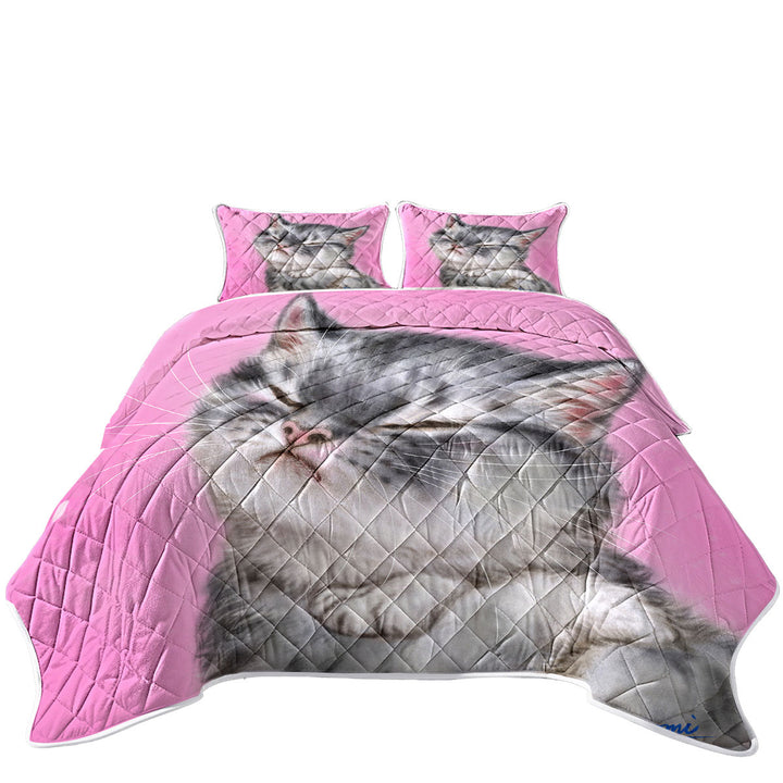 Funny Cats Angry Grey Tabby Kitty Cat Quilts