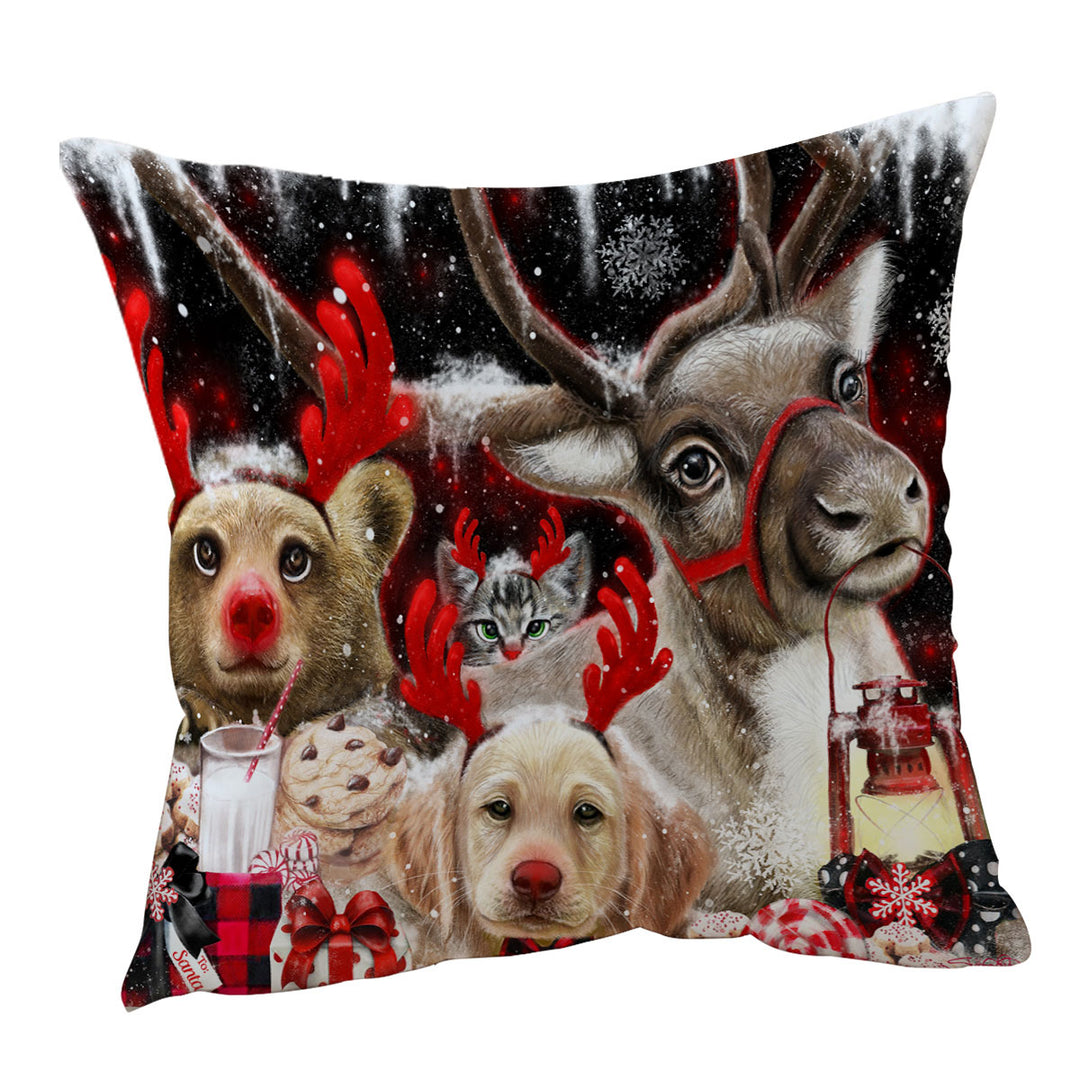 Funny Christmas Throw Pillows and Cushions Santas Reindeer Animals