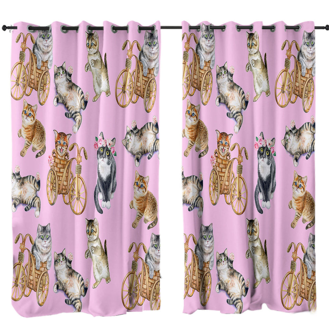 Funny Cute Cats Curtain