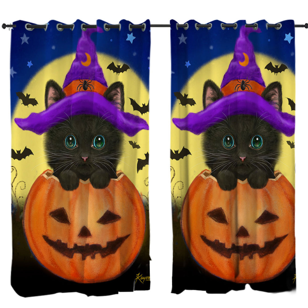Funny Cute Halloween Black Cat in Pumpkin Drapes