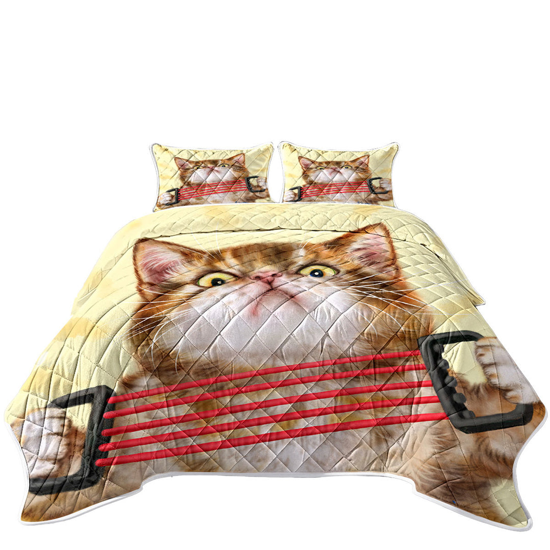 Funny Kittens Tabby Cat Doing Exercise Quilts