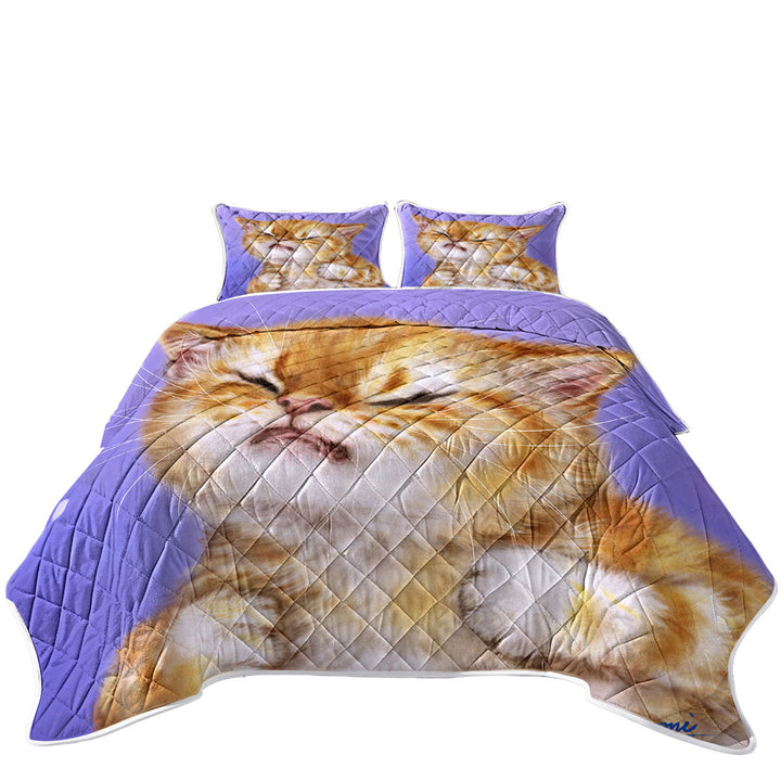 Funny Kittens Upset Ginger Kitty Cat over Purple King Size Bedspreads
