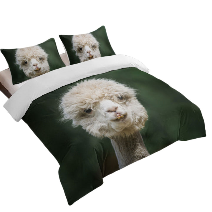 Funny Photo of Llama Duvet Cover