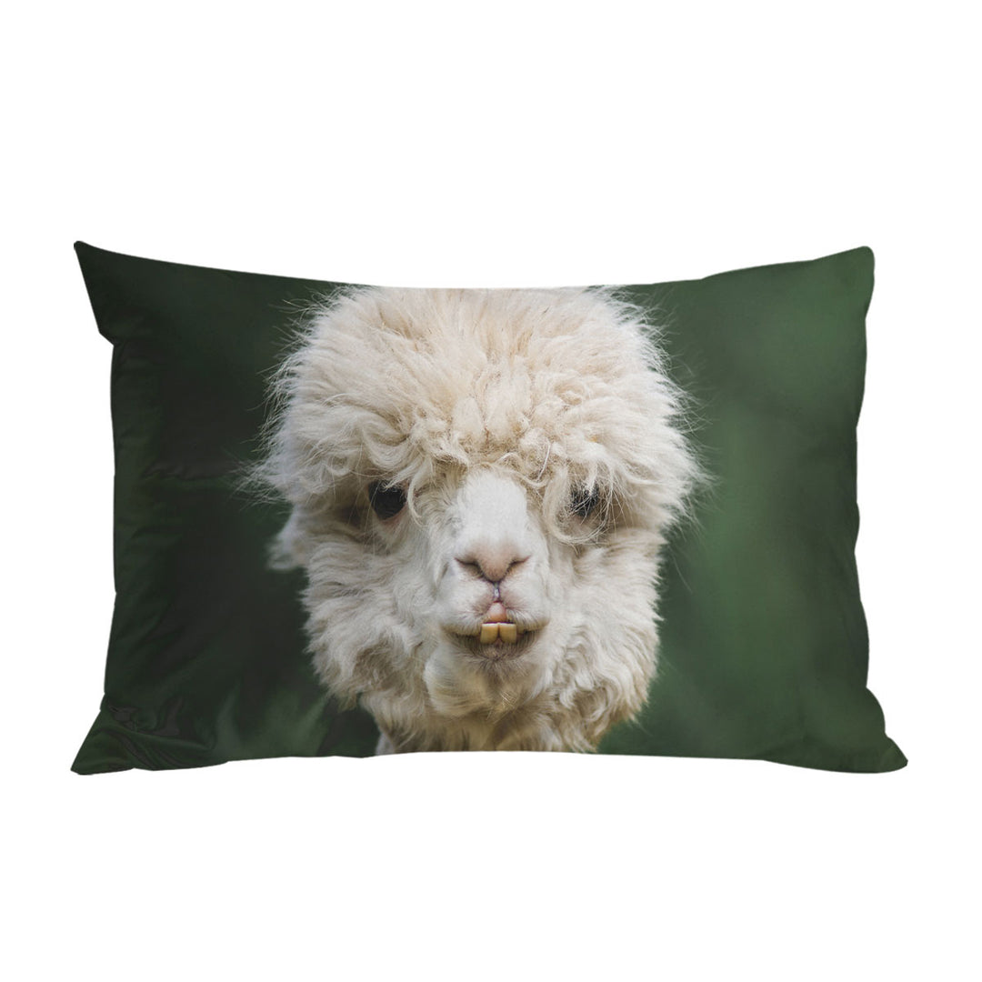 Funny Photo of Llama Pillowcases