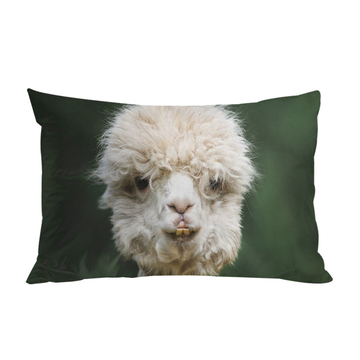 Funny Photo of Llama Pillowcases