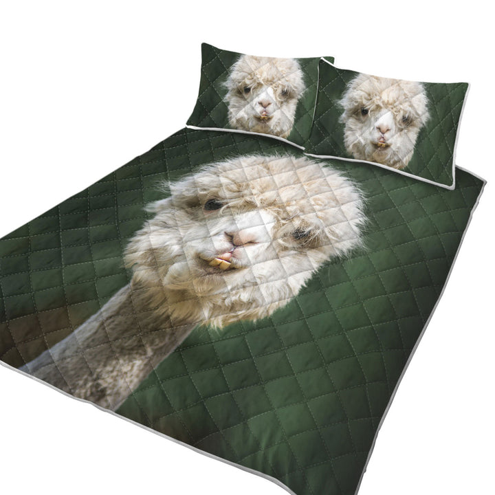 Funny Photo of Llama Quilt