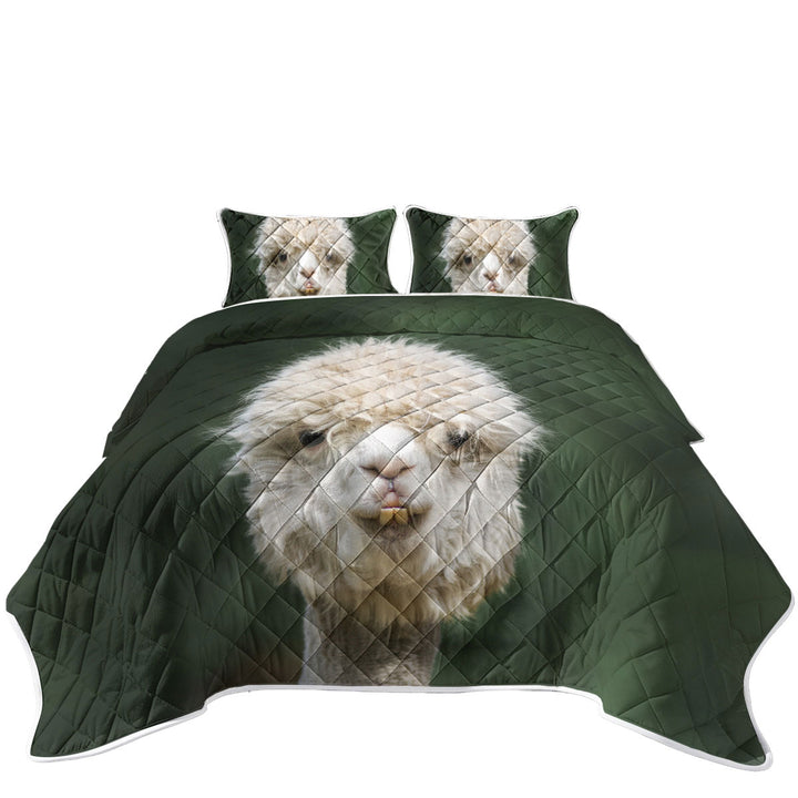 Funny Photo of Llama Quilts
