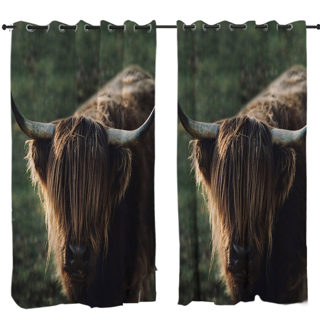 Funny Wild Yak Curtains for Bedroom