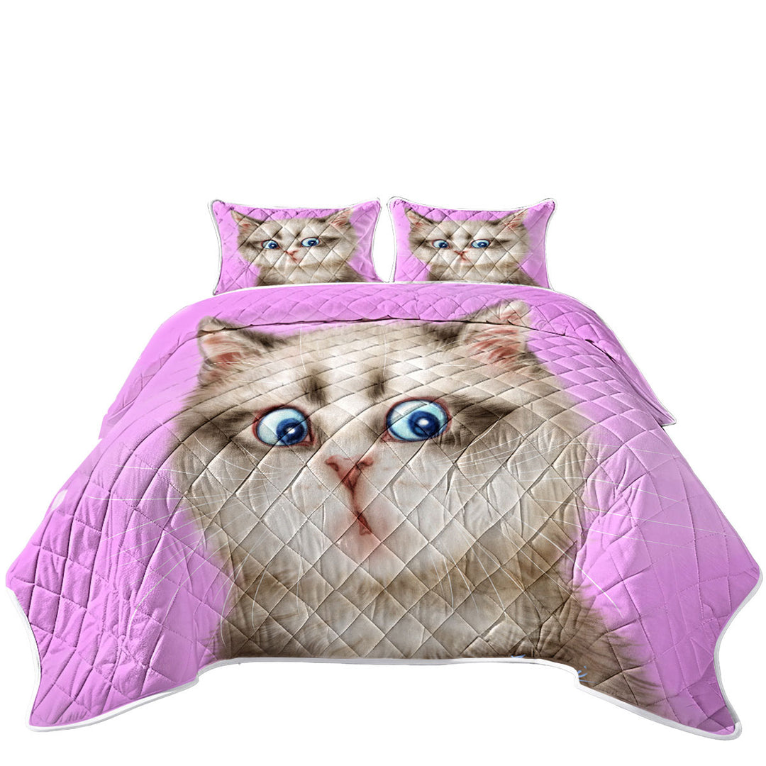 King Size Bedspreads with Cats Cute and Funny Faces Amazed Kitten