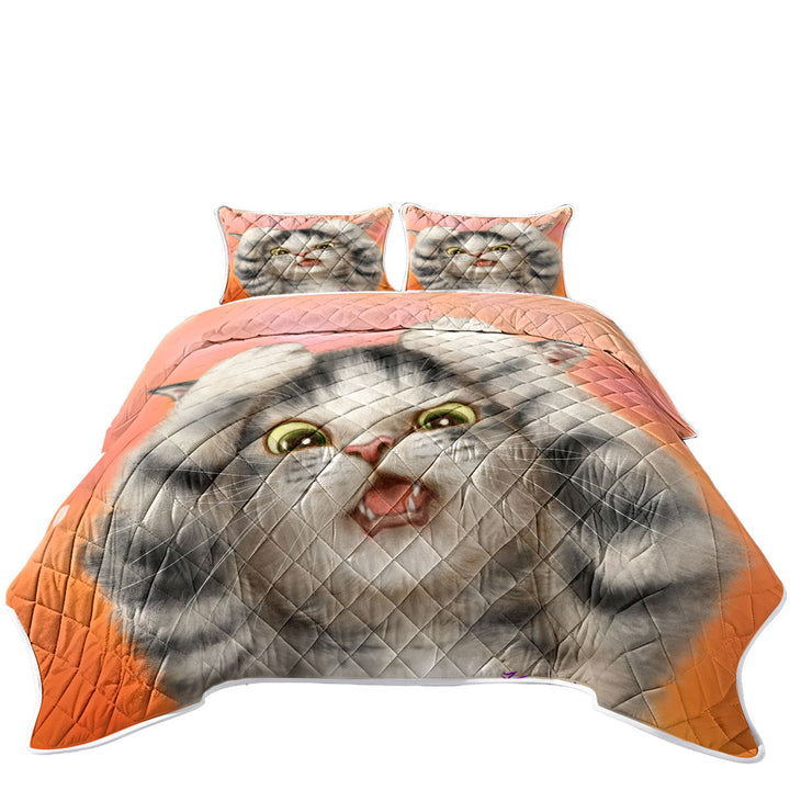 King Size Quilt Sets with Funny Cats Cute Kitten Surprised