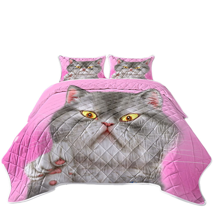 Kittens Art Angry Grey Kitty Cat over Pink Twin Quilt
