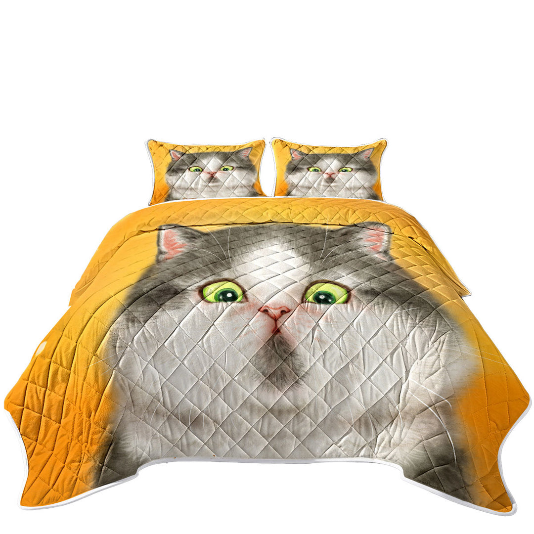 Kittens Art Cute Chubby Grey Cat King Size Quilt Sets