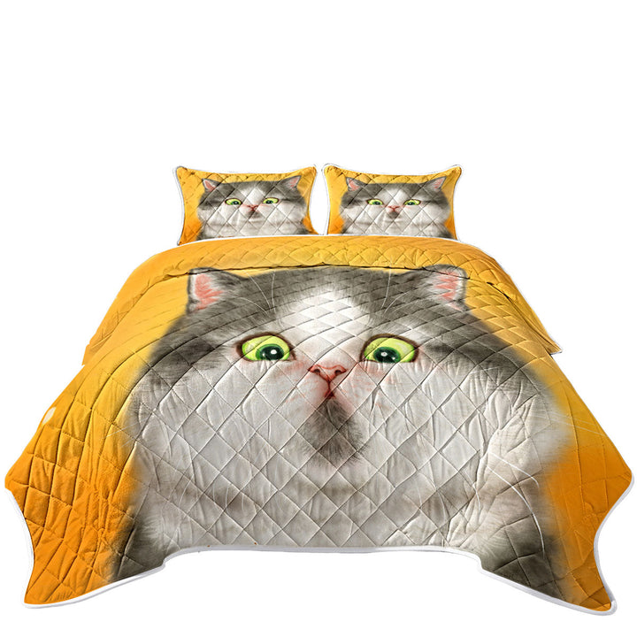 Kittens Art Cute Chubby Grey Cat King Size Quilt Sets