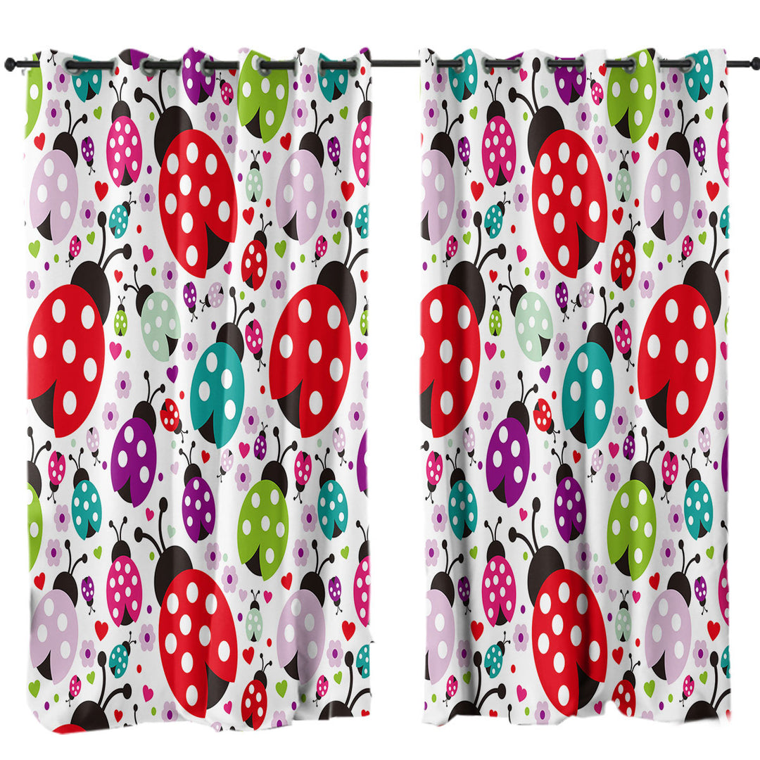 Multi Colored Ladybugs Curtain