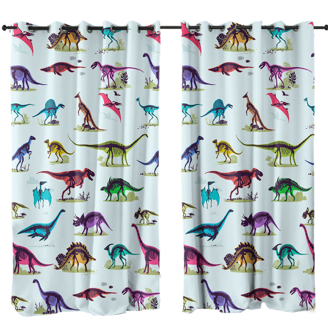Multi Colored X rays of Dinosaurs Curtain