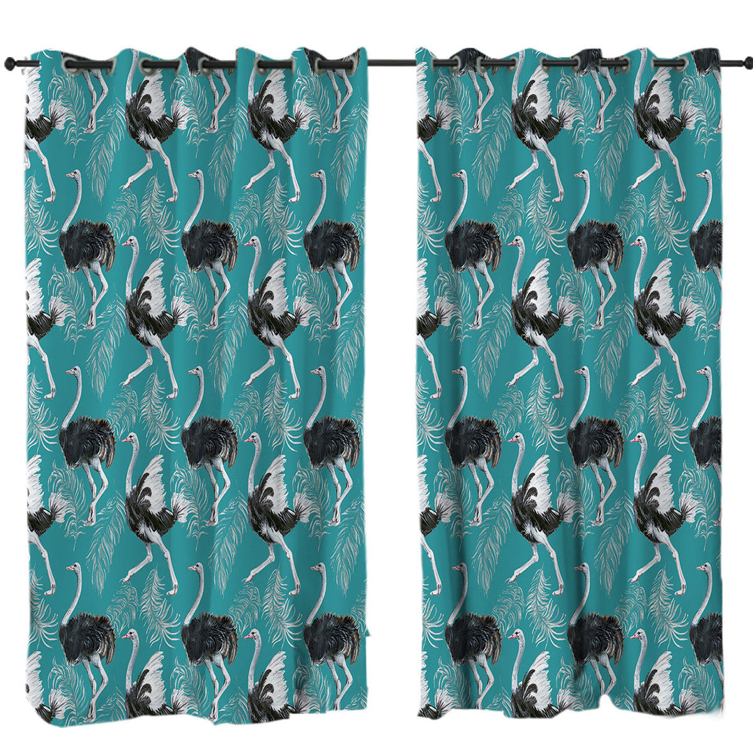 Pattern of Feathers and Ostrich Curtains