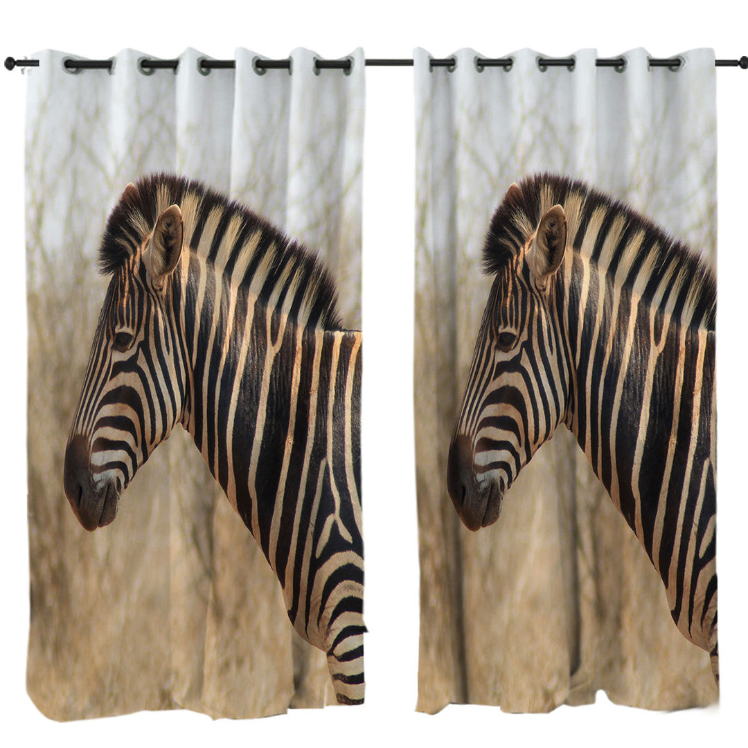 Photo of Wild Zebra Curtains