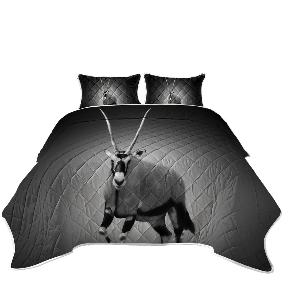 Quilt Stores Near Me with Black and White Wild Antelope