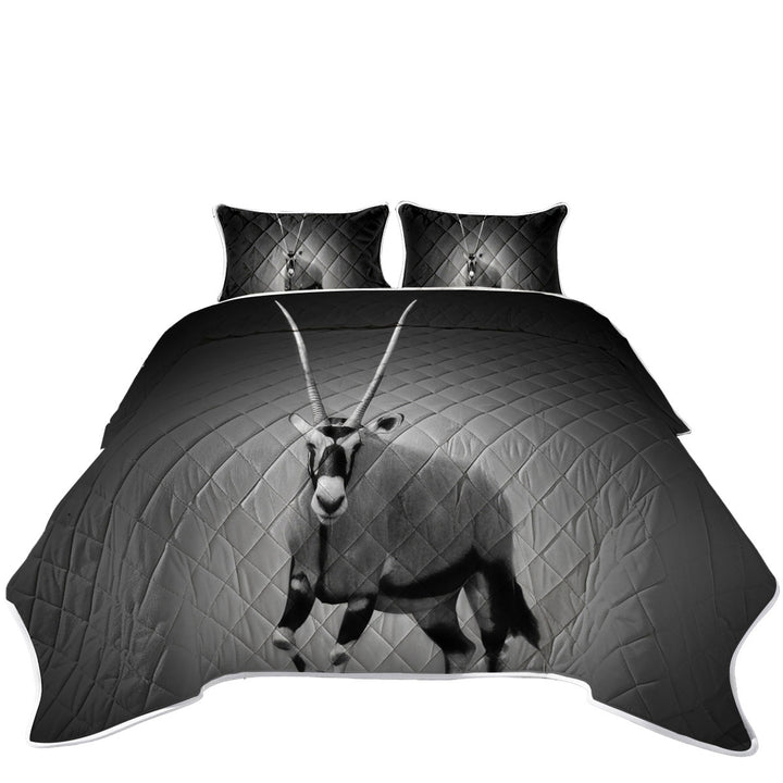 Quilt Stores Near Me with Black and White Wild Antelope