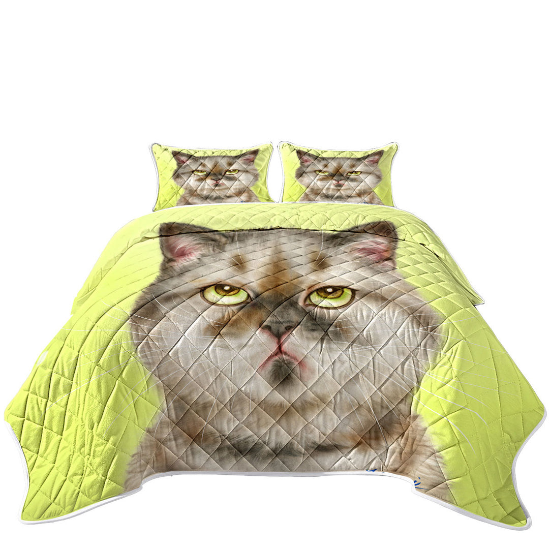 Quilts for sale with Cats Funny Faces Unsatisfied Brown Tabby Kitten