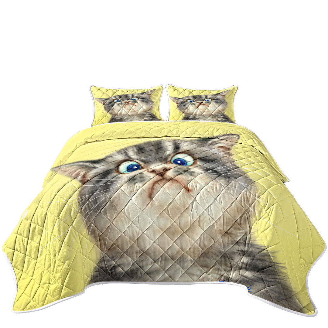 Quilts with Cats Cute and Funny Faces Unhappy Grey Kitten