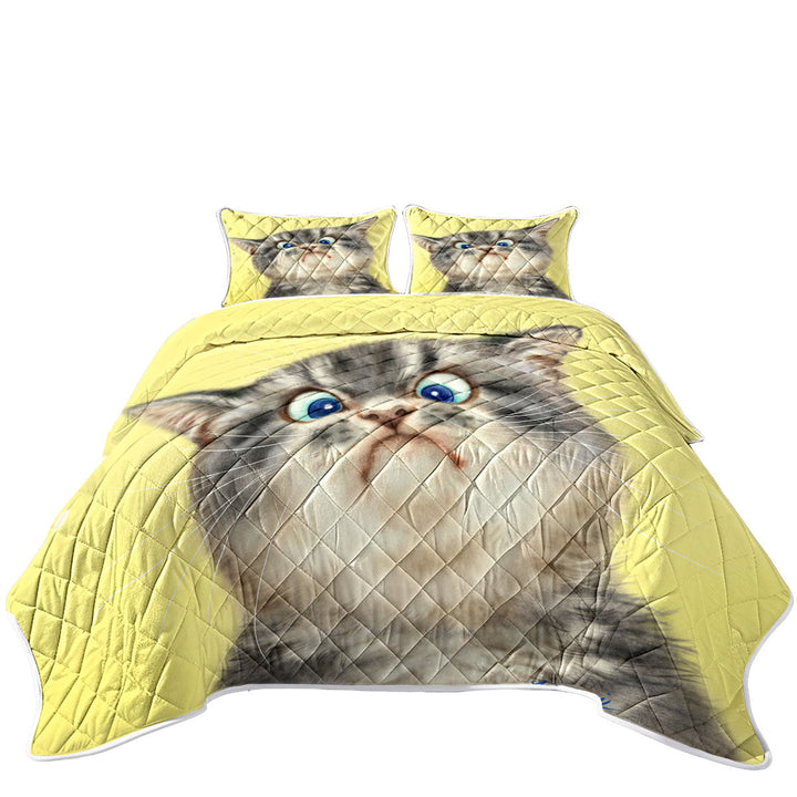Quilts with Cats Cute and Funny Faces Unhappy Grey Kitten