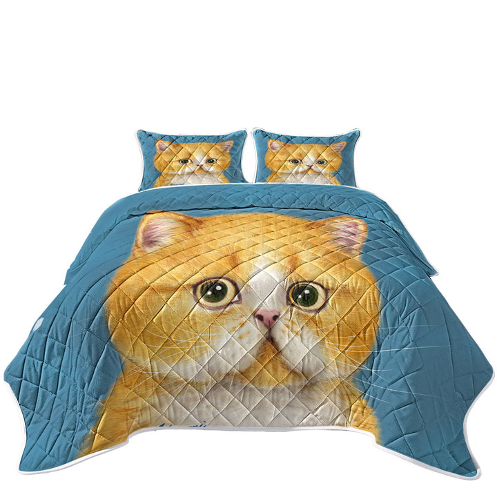 Quilts with Sweet Little Ginger Kitten Cat