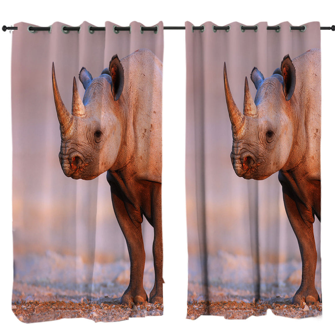 Real Rhino Curtains for Living Room