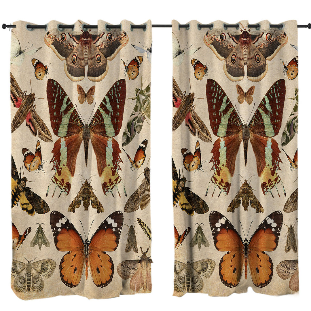 Realistic Butterflies Curtain