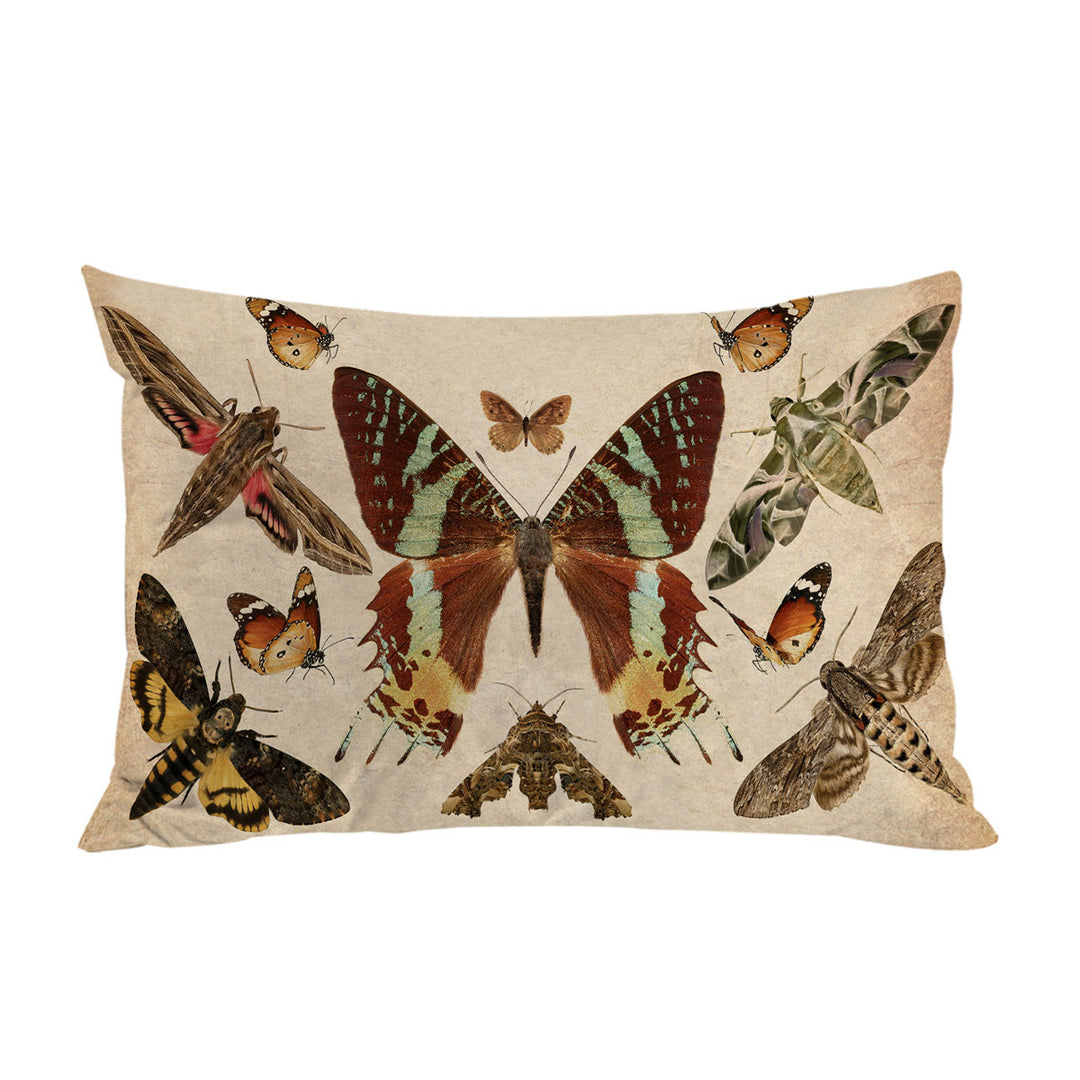 Realistic Butterflies Pillow Cases