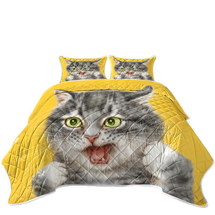 Summer Quilt with Cool Cats Art Tough Grey Kitten