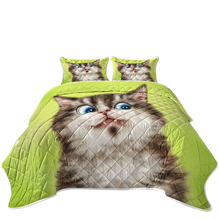 Twin Quilt with Cats Cute and Funny Faces the Flinching Kitten