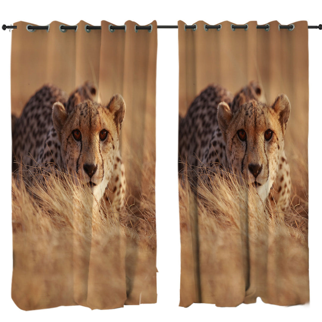 Wild Cheetah Curtain
