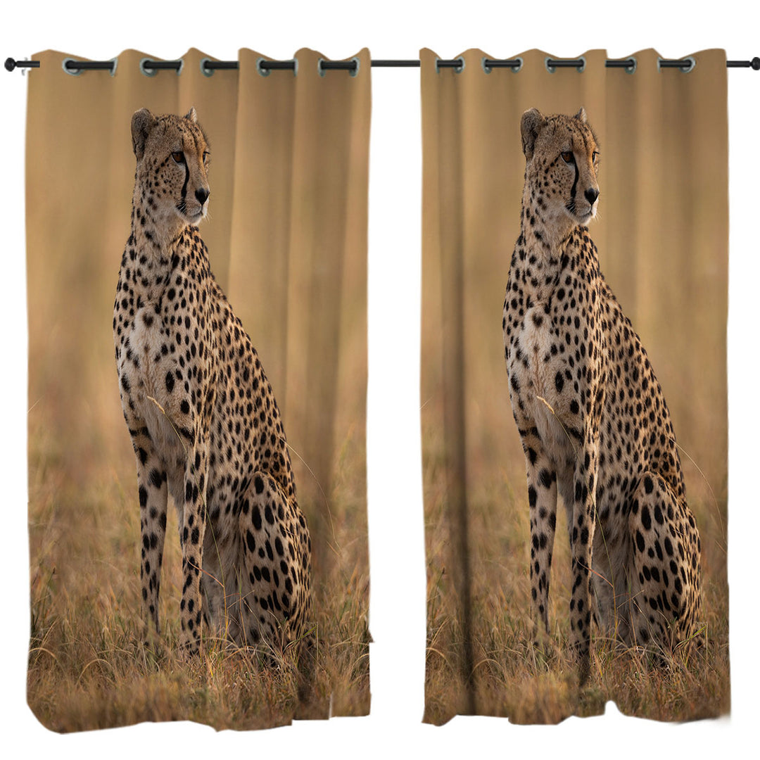 Wildlife Photo of Cheetah Curtains