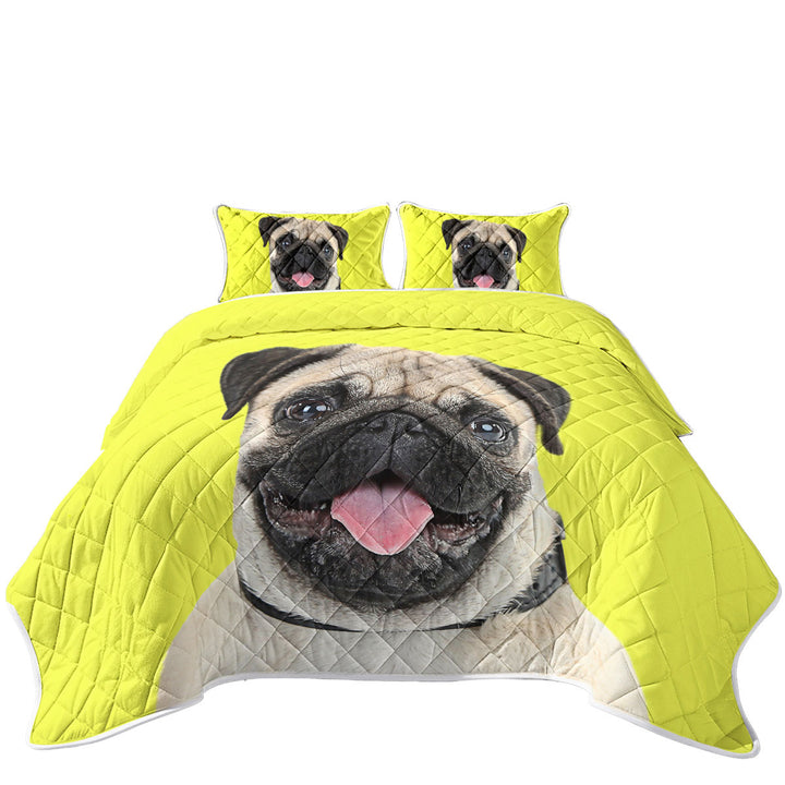 Yellow Background Cute Pug Dog Coverlet