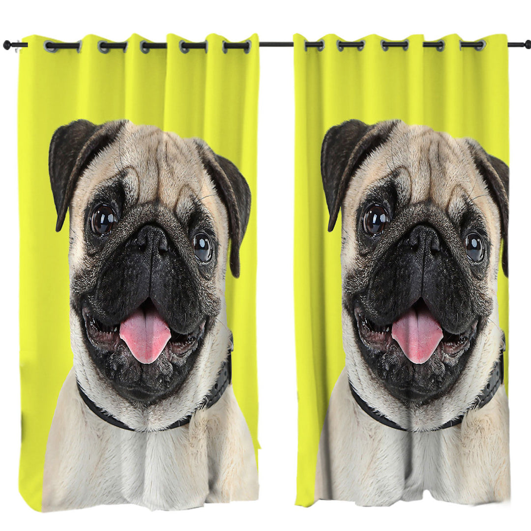 Yellow Background Cute Pug Dog Drapes and Curtains