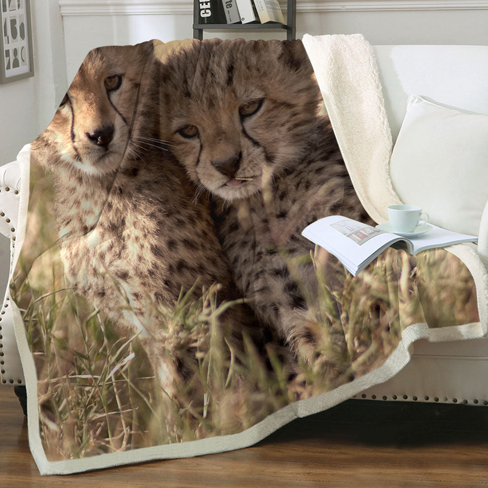 Adorable Throws with Wild Cheetah Cubs