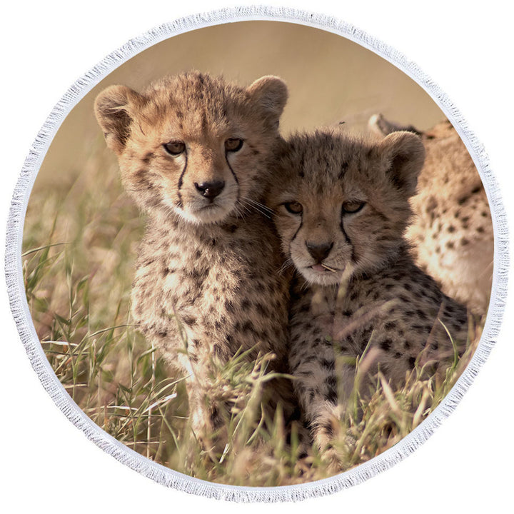 Adorable Wild Cheetah Cubs Round Beach Towel