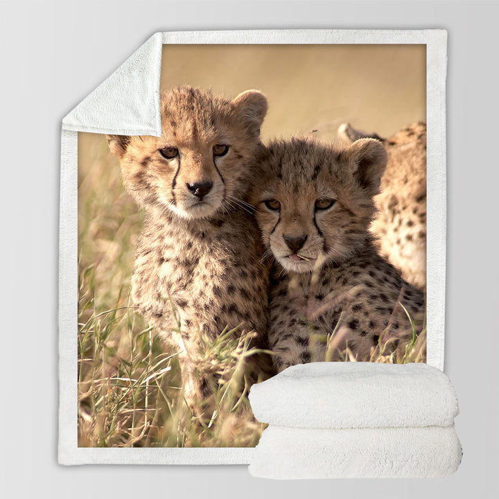 Adorable Wild Cheetah Cubs Sherpa Blanket