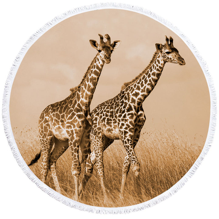 African Wildlife Wild Giraffes Circle Beach Towel