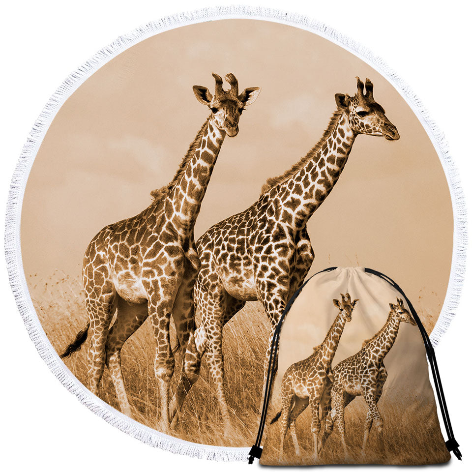African Wildlife Wild Giraffes Round Beach Towel