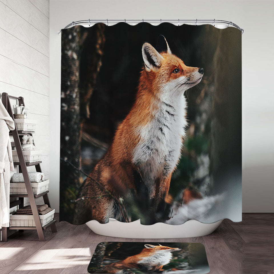 Beautiful Fox Shower Curtains of Wild Animals