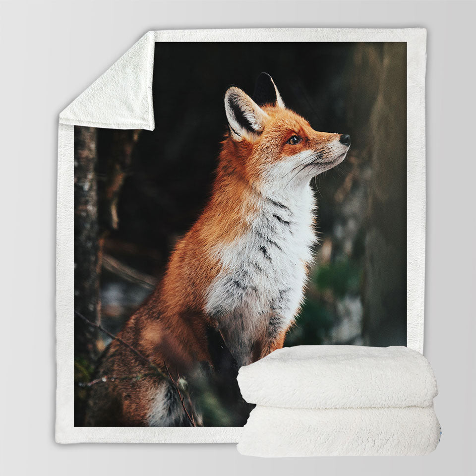 Beautiful Fox Throw Blankets