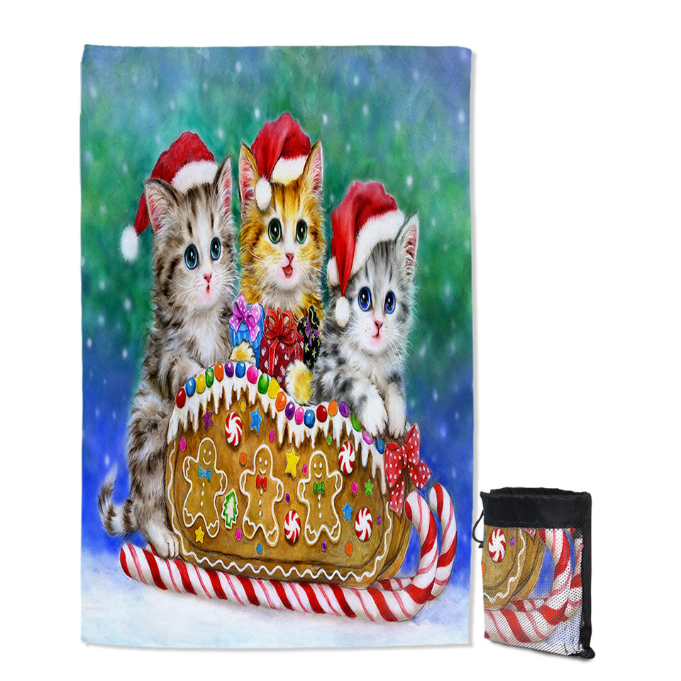 Christmas Kids Swimming Towels Cats Cute Gingerbread Sleigh Kittens