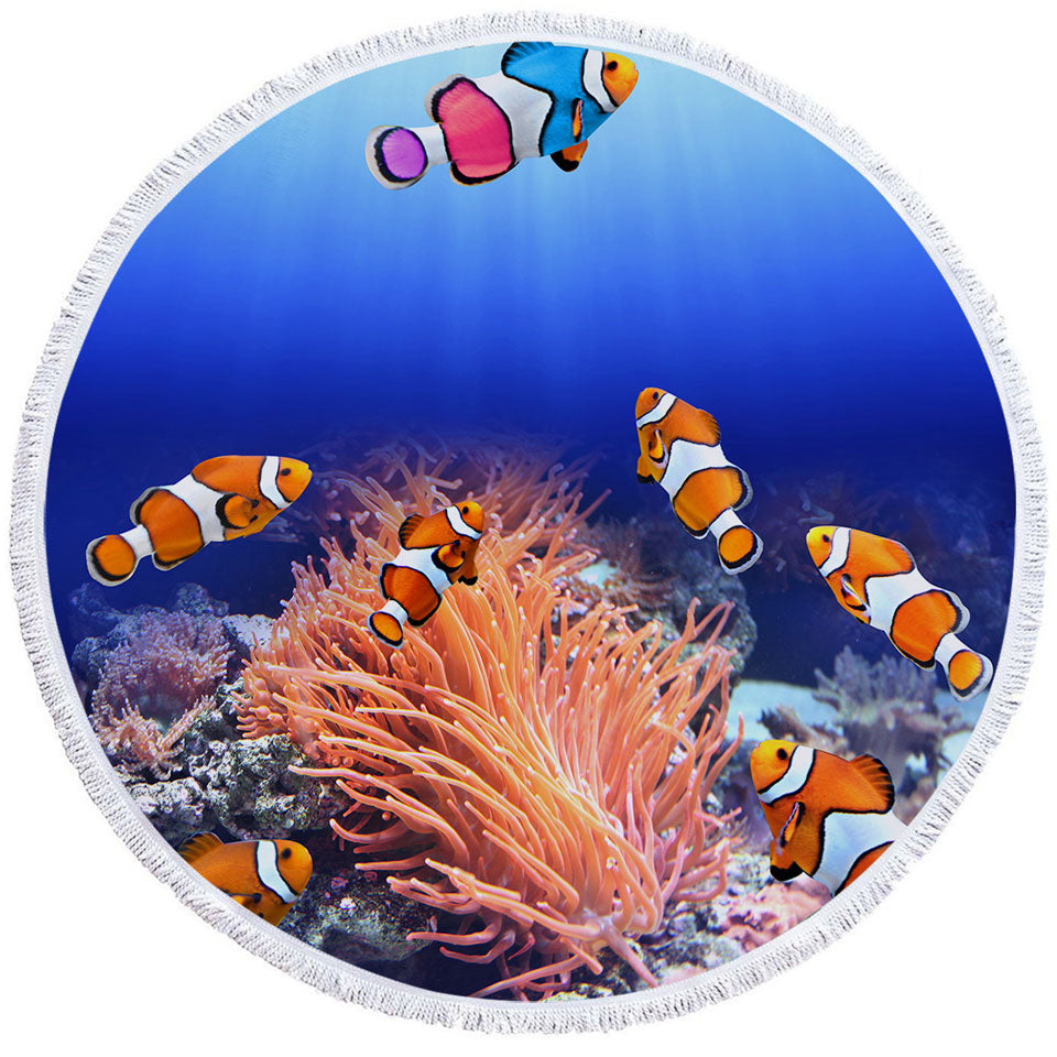 Circle Beach Towel Features Clownfish Fish