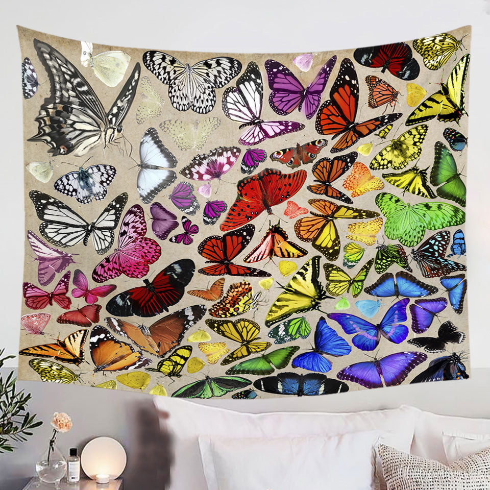 Colorful-Tapestry-Rainbow-Cluster-of-Butterflies