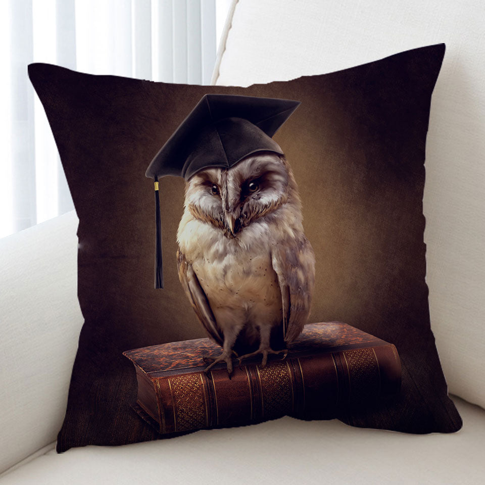 Cool Graduated Owl Cushion