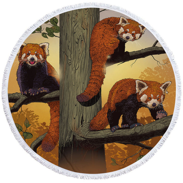 Cute Animals Art Red Pandas Round Beach Towel